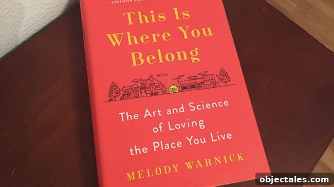 Episode 81: When Our Pipes Froze and What We Did 9 Book cover suggestion