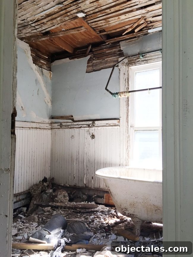 How to Fix a Project That's Going Off Track 5 Refinish Clawfoot Tub Before Photo