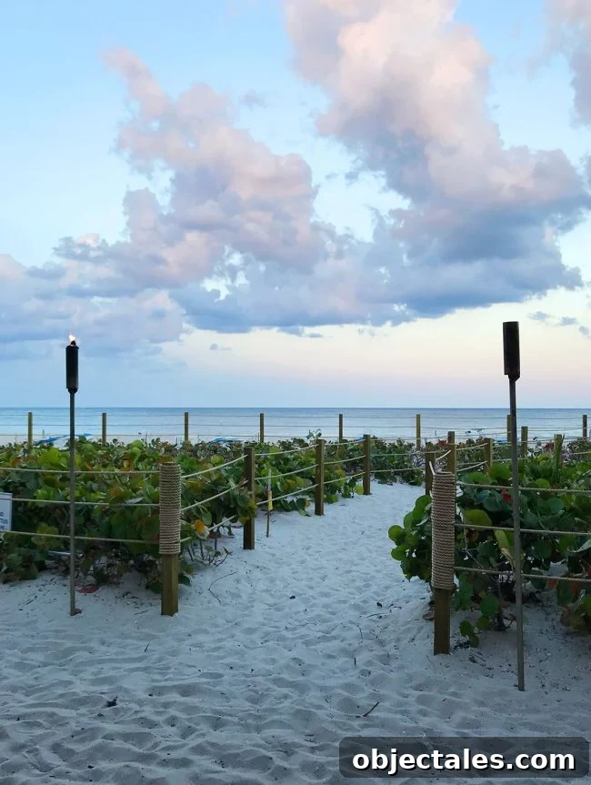 Family Spring Break in Fort Lauderdale: Top Tips & Highlights 10 View of ocean from dining table at Ocean Grill Restaurant and Tiki Bar in Pompano Beach Florida