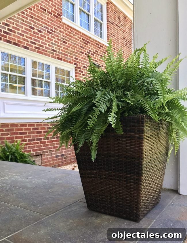 30-Day No-Extra Shopping Challenge: Can We Do It? 7 Outdoor planters