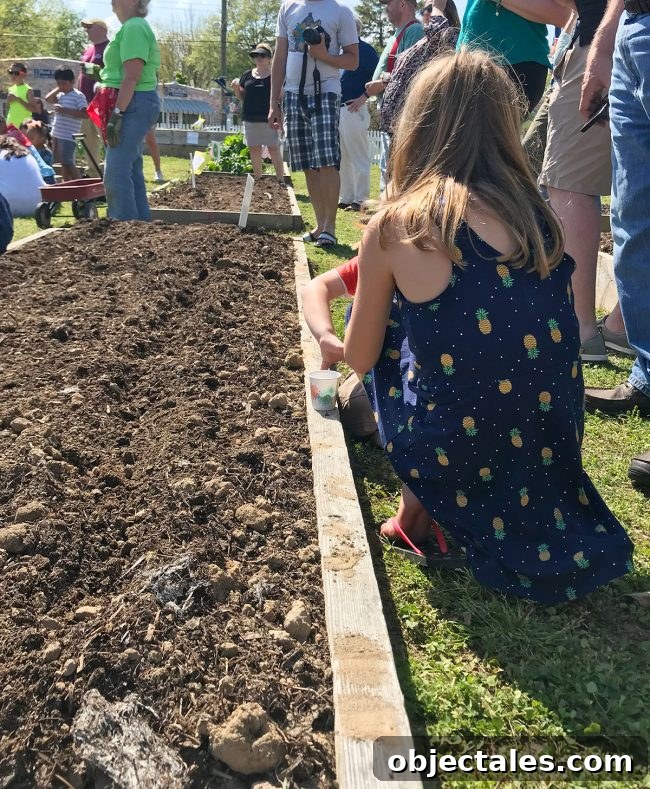 Why Our House Feels Too Big and How We're Downsizing 6 Blessing of the Worms