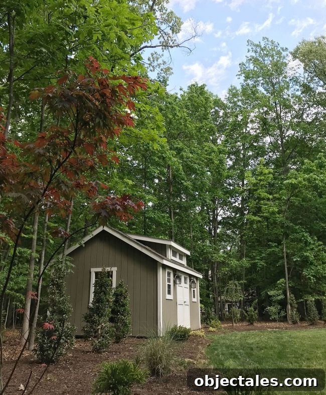 Why We Keep Too Much Stuff: The Psychology of Clutter 2 Backyard progress photo