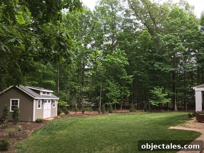Why We Keep Too Much Stuff: The Psychology of Clutter 5 Backyard current angle showing pea gravel