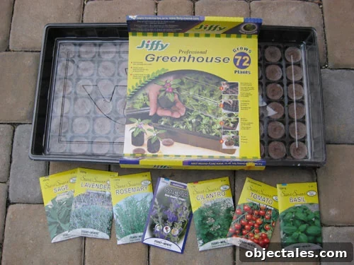 jiffy-plant-tomatoes-from-seeds-greenhouse jiffy-plant-tomatoes-from-seeds-greenhouse