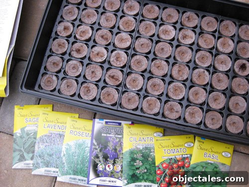 growing-herbs-and-vegtables-from-seeds growing-herbs-and-vegtables-from-seeds