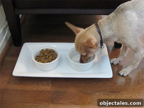 burger-platter-dog-dish-bowl-ceramic burger-platter-dog-dish-bowl-ceramic