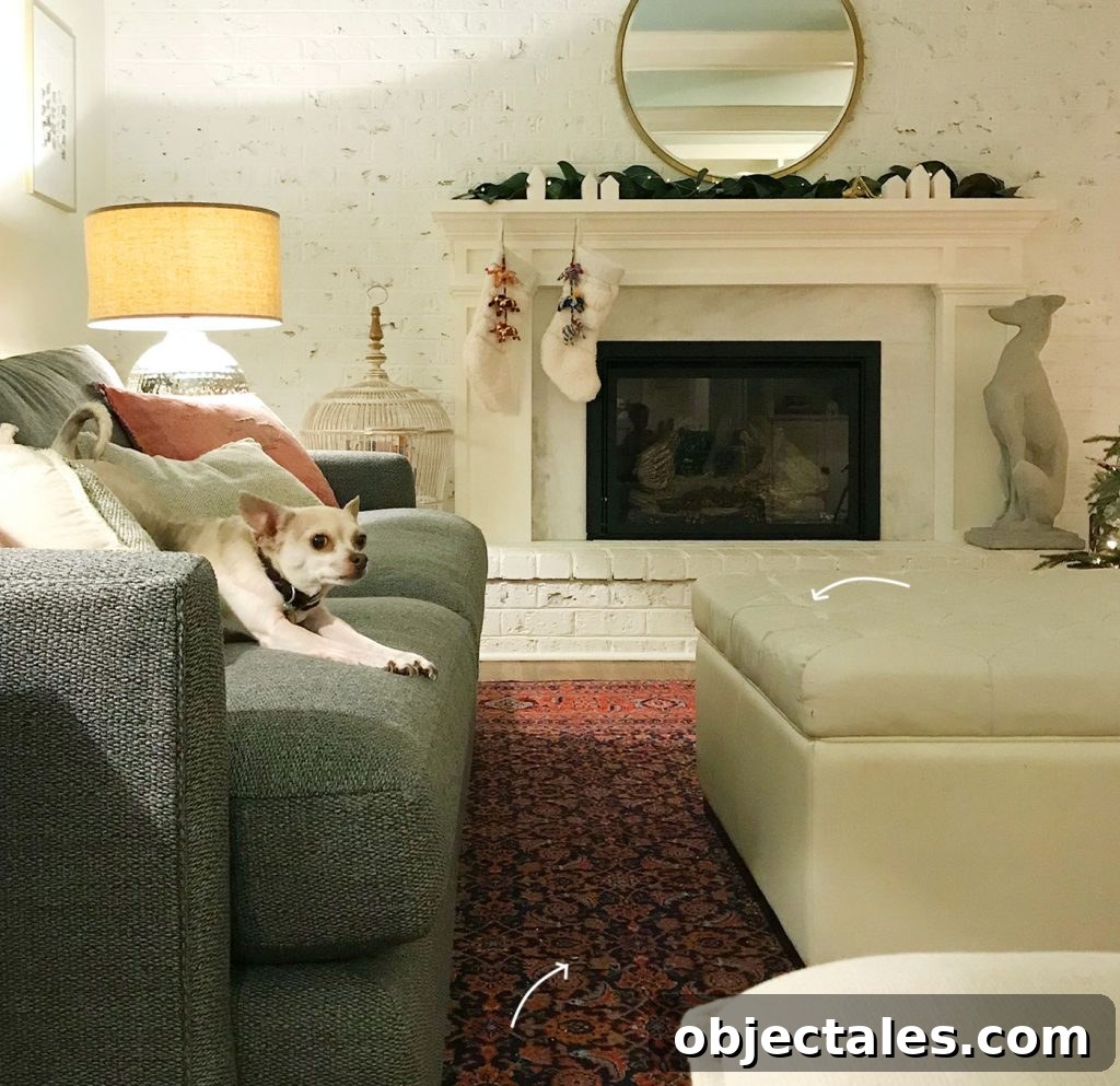 How Science Can Make Your Home Happier 6 img 90238 5