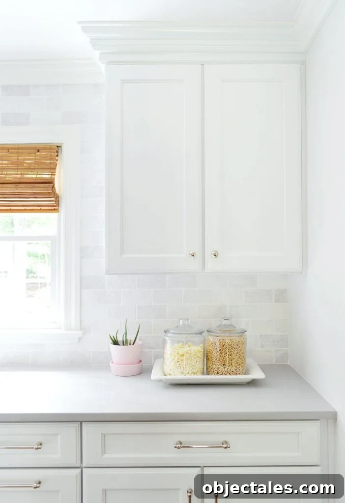 Low-Maintenance Houseplants and Realistic Faux Plants 8 Real aloe plant in small pink plant on kitchen counter against marble backsplash