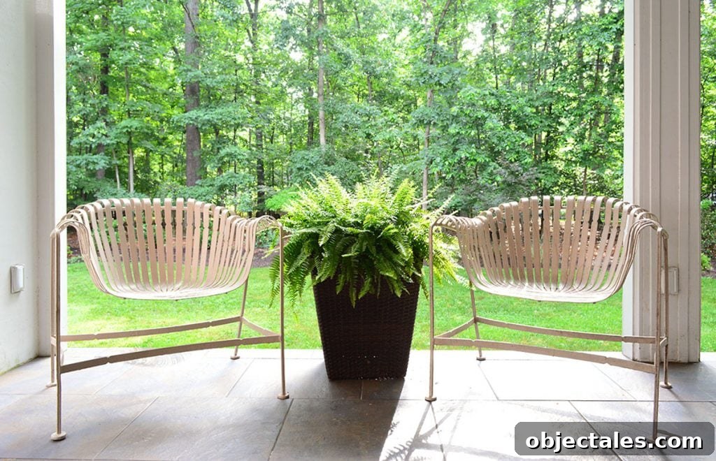 Low-Maintenance Houseplants and Realistic Faux Plants 12 img 90539 31 1