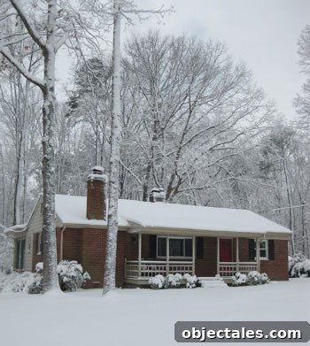 8-inches-of-snow-snowstorm-richmond-virginia