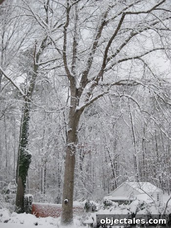 snow-day