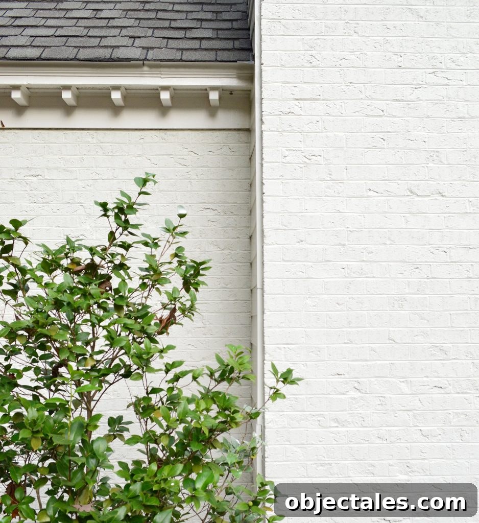 What to Know Before Painting Your Brick House 6 img 91030 5