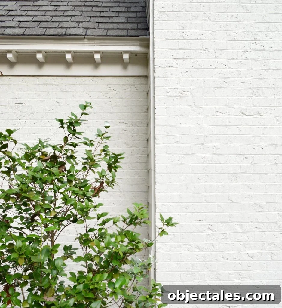 What to Know Before Painting a Brick House 6 img 91030 5