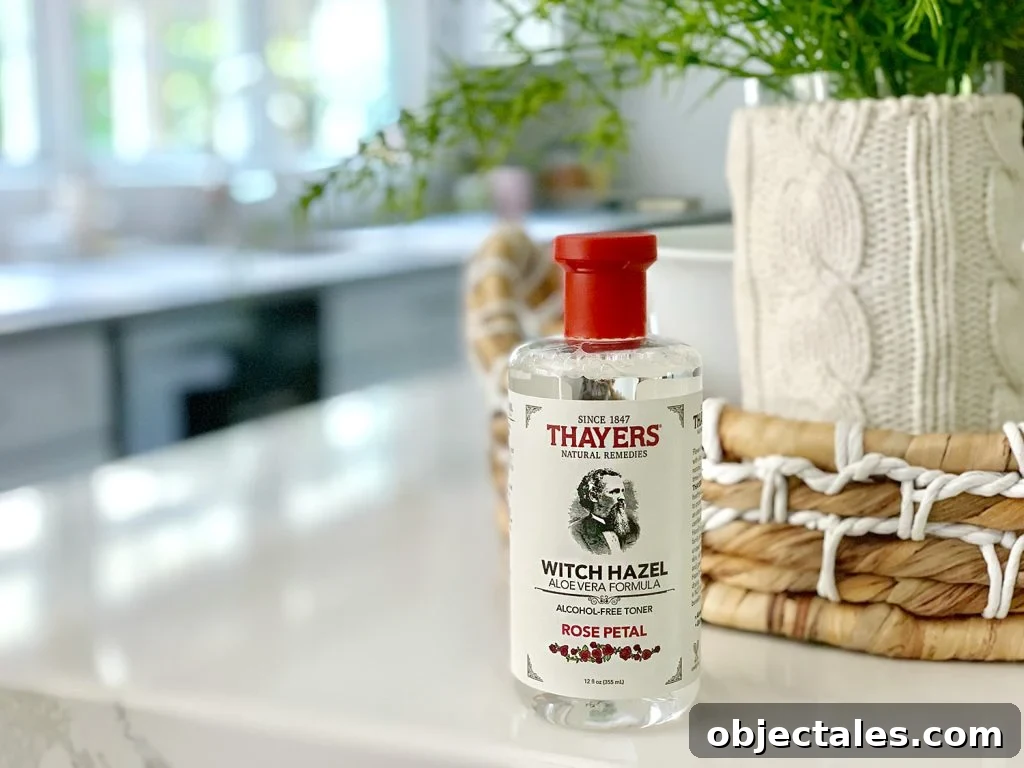 DIY Projects That Spark the Most Heated Arguments 11 Thayer's facial toner
