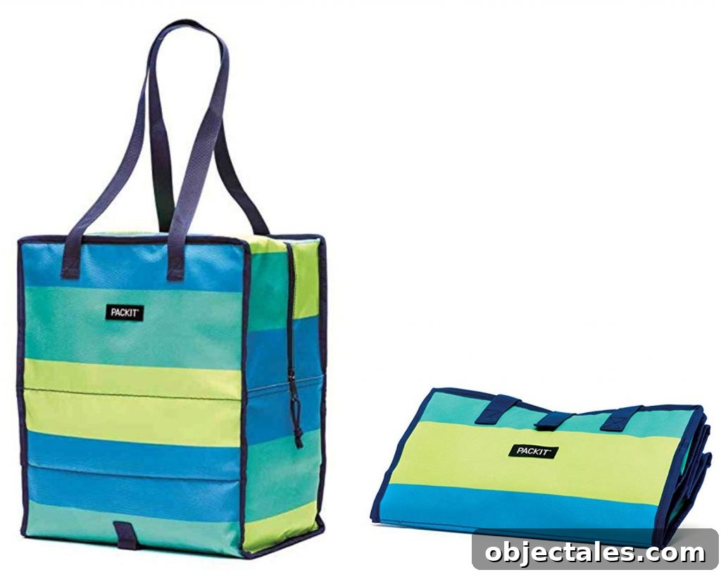 Our First Guests at the Duplex: What Happened 7 striped freezable bag and beach chairs