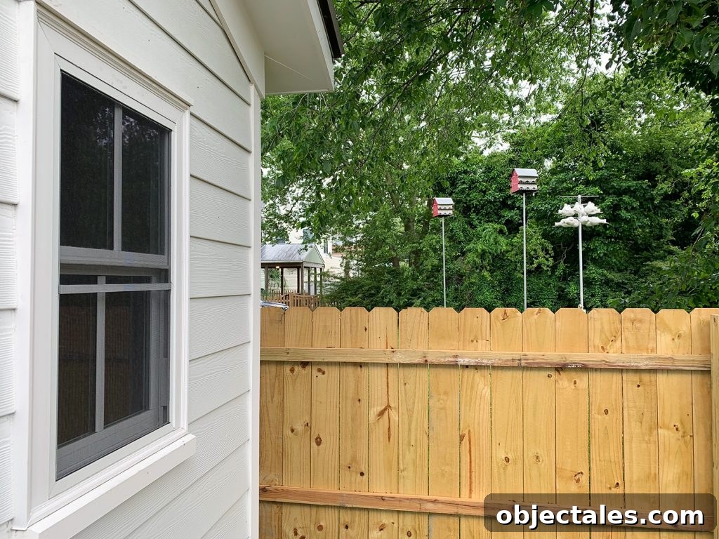 Bird droppings on duplex patio