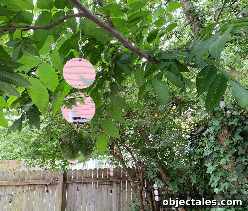 Outdoor reflective discs