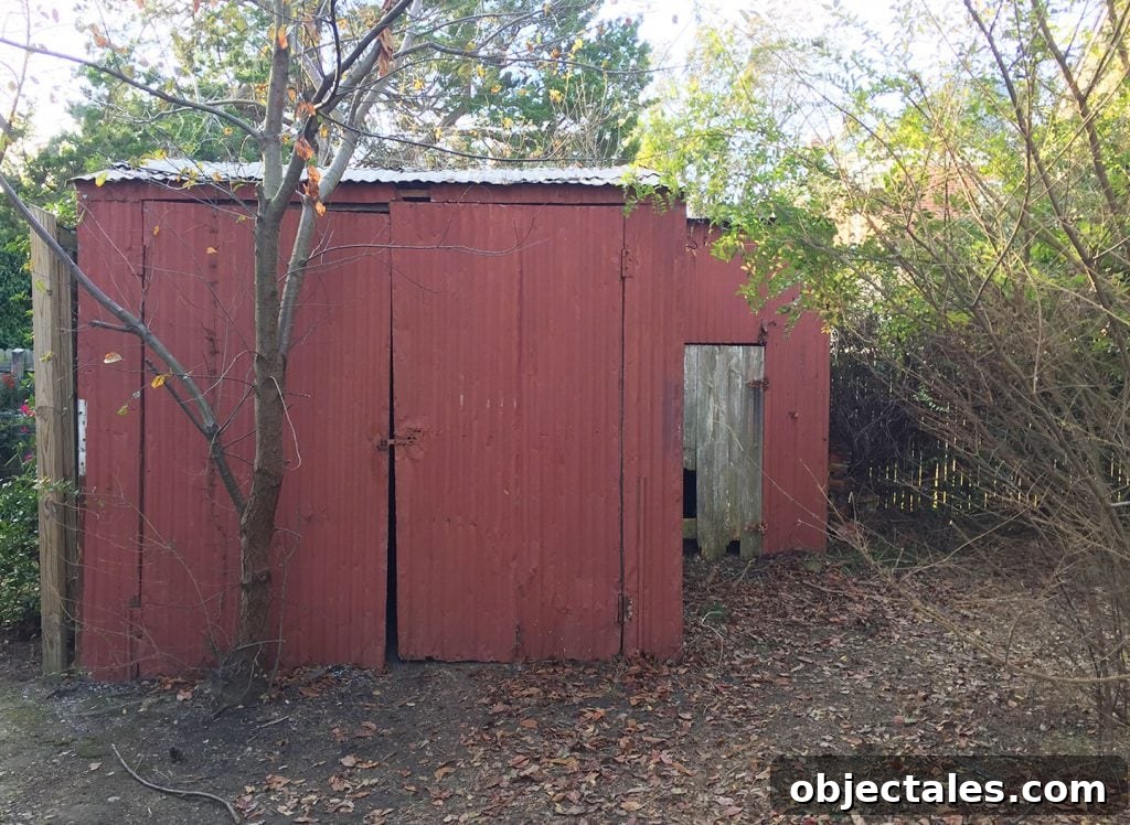 Shed doors open into yard