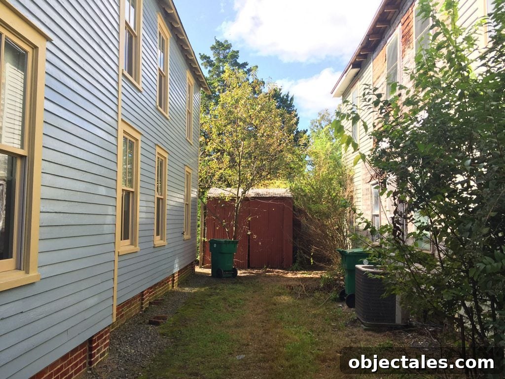 Side yard before