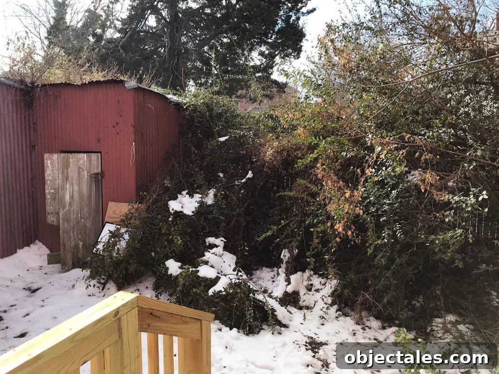 View out the back door before backyard finished