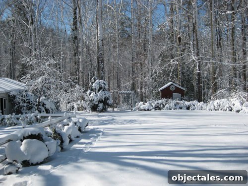 gorgeous-snow-picture-backyard