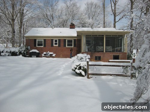 back-of-house-snowstorm1
