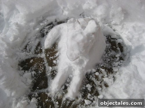snow-dog-chihuahua-sculpture-snowman