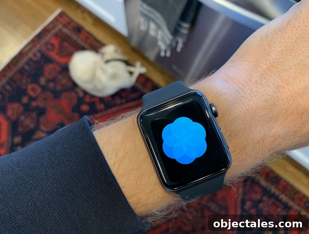 Broken Apple Watch