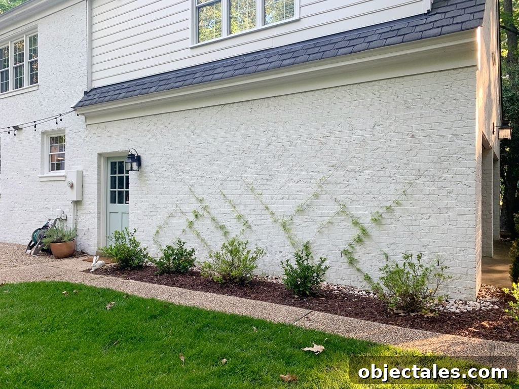 Build a DIY Garden Trellis: Step-by-Step Guide 2 DIY wire vine trellis on white brick home