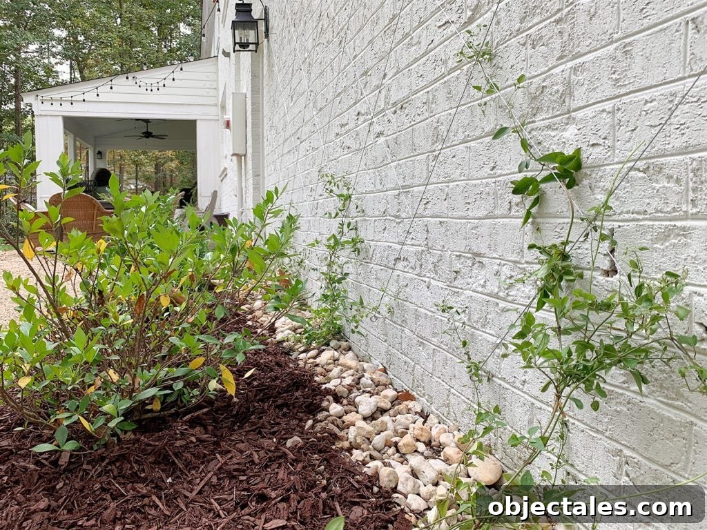 Build a DIY Garden Trellis: Step-by-Step Guide 12 Clematis Vine On Wire Vine Trellis