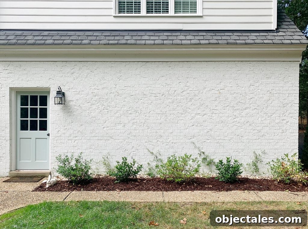 Build a DIY Garden Trellis: Step-by-Step Guide 4 Far View Of Finished Vine Trellis On Brick Garage Wall