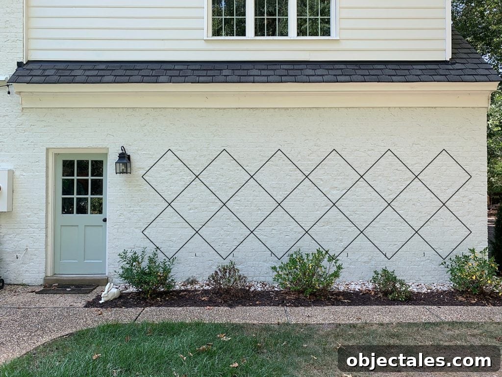 Build a DIY Garden Trellis: Step-by-Step Guide 7 Photoshop rendering of trellis diamond pattern option 1