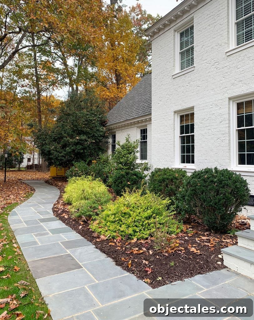 New front path