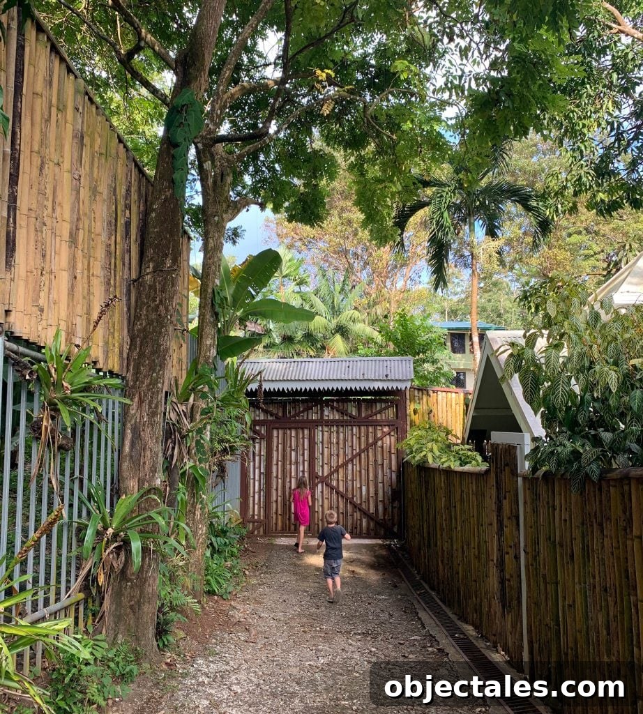 Costa Rica Family Travel: Top Activities and Tips 8 Young Kids Running Amongst Bamboo Fence In Costa Rica Airbnb