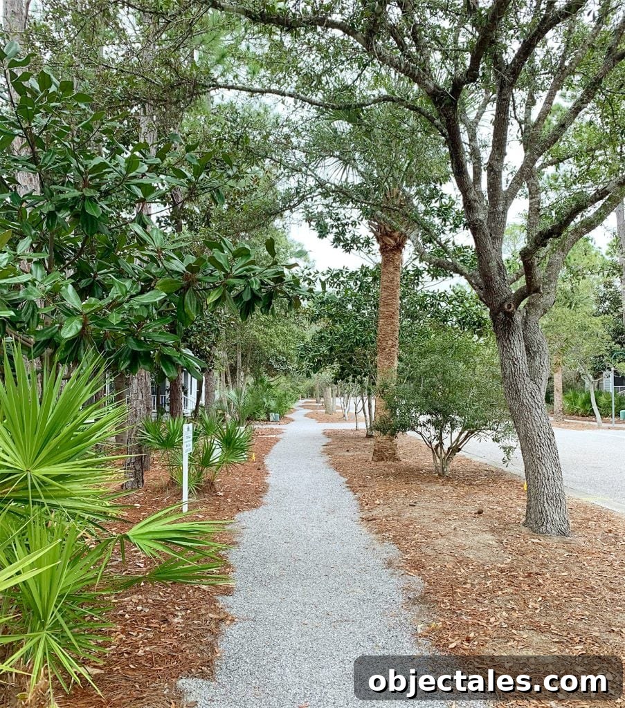 Wooded neighborhood we visited in Florida