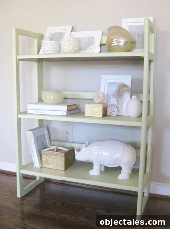 bookcase-painted-after-picture
