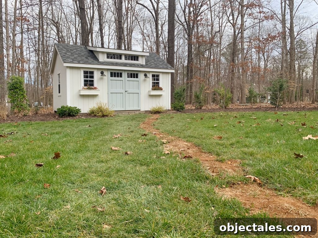 The Costly Mistake We Made Before Listing Our House 5 Backyard with disturbed grass