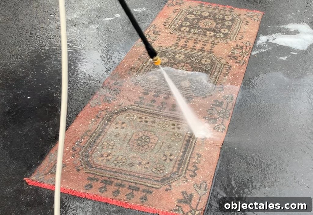Rinsing rug with pressure washer