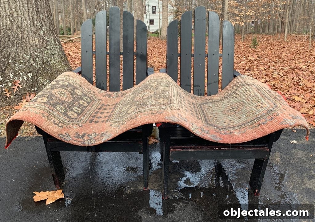 Rug propped to dry