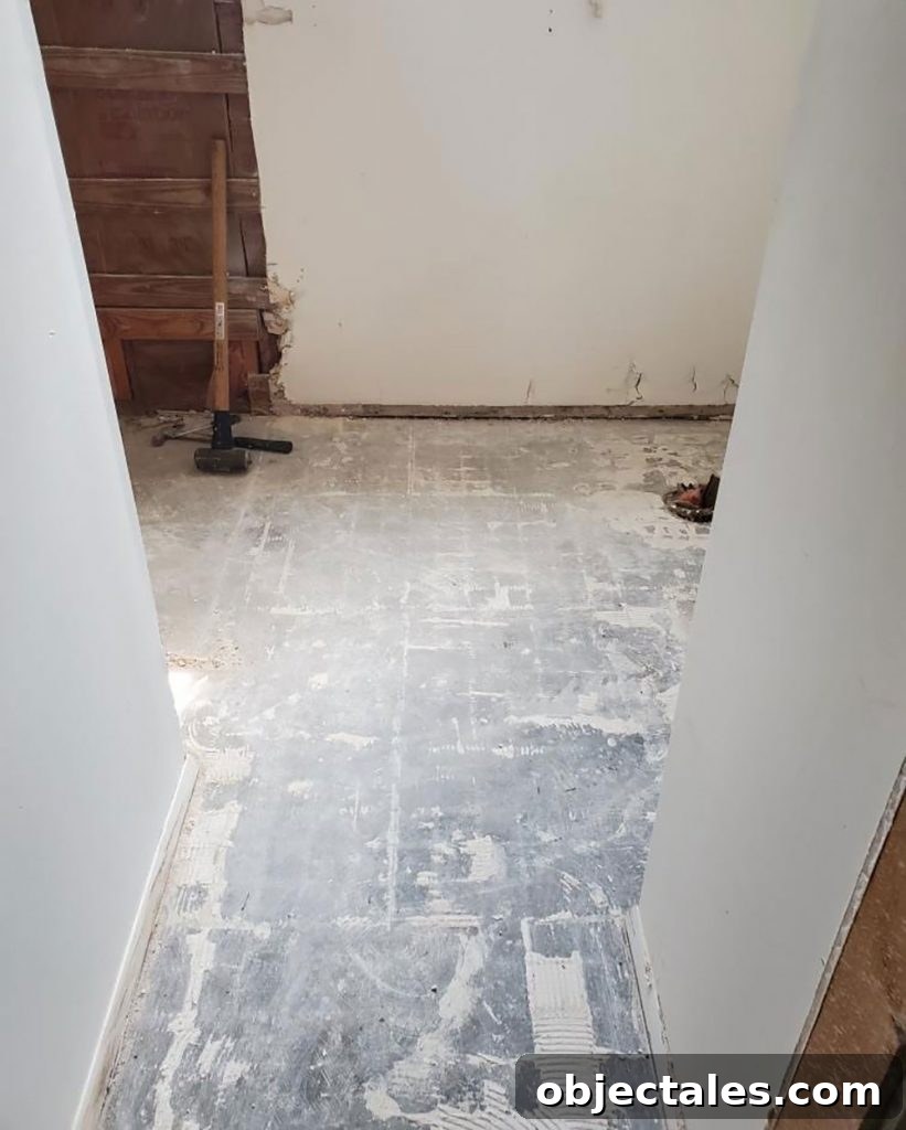 Downsizing Home Renovation: Progress Update and Key Milestones 10 img 94372 19