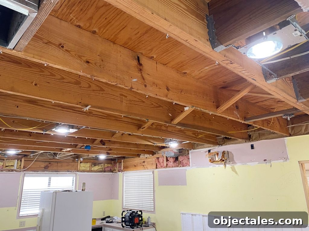 Downsizing Home Renovation: Progress Update and Key Milestones 4 img 94372 4