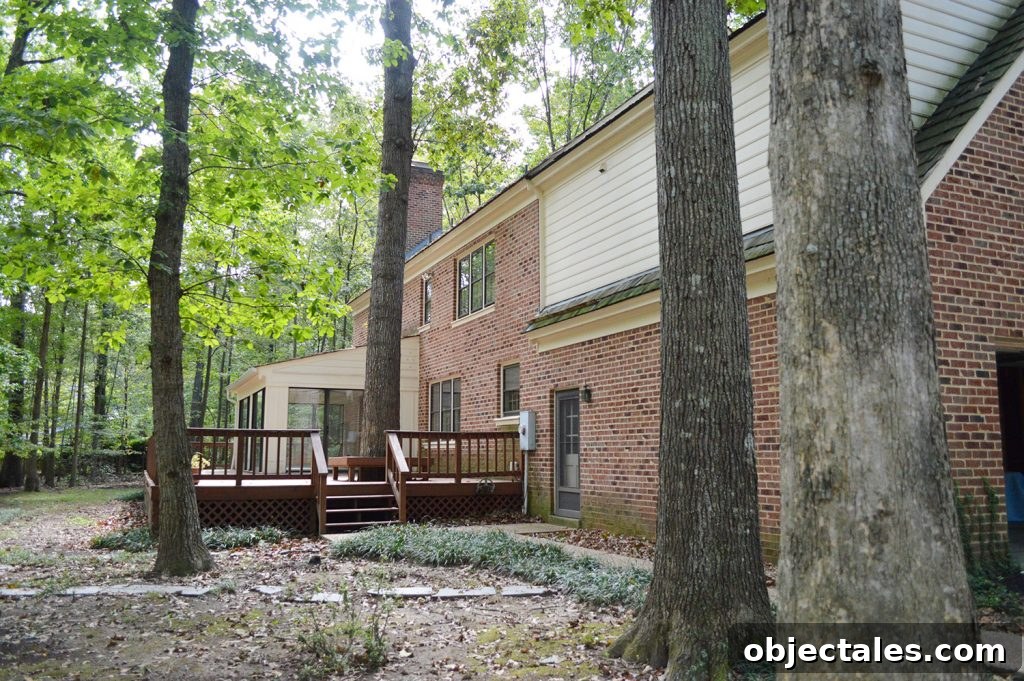 Painted Brick House Exterior Makeover Reveal 4 Backyard before