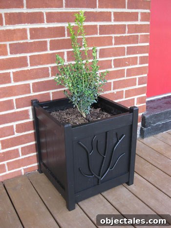 black-square-planters