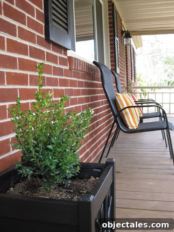 boxwood-black-square-planter-diy-project