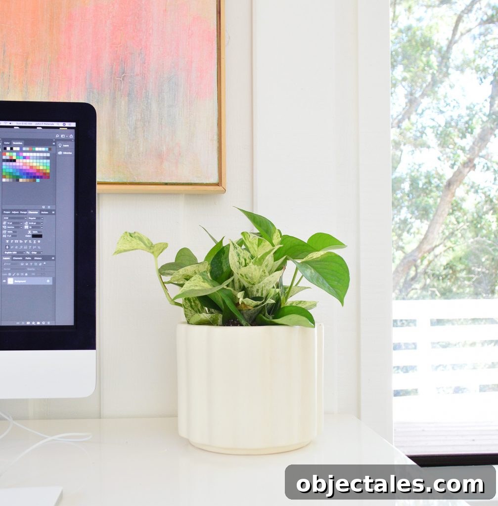 The Unexpected Side of Downsizing: What No One Warned You About 7 Marble Queen Pothos plant