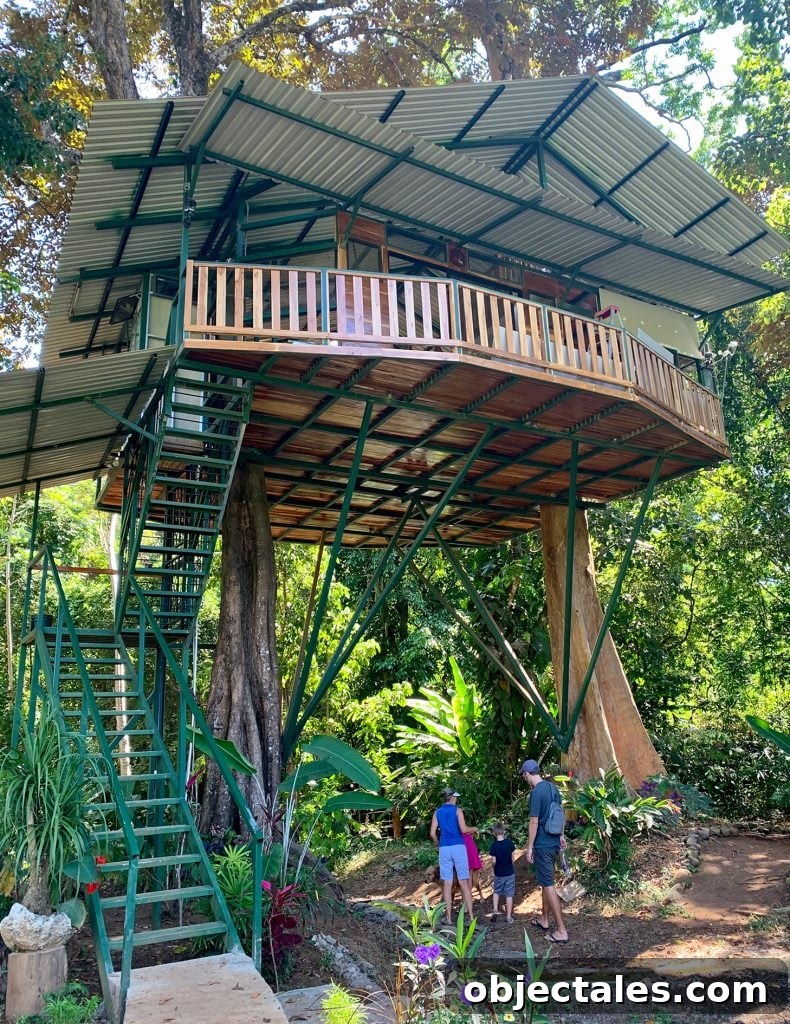 Decorating for the Zoom Era: Home Office and Video-Ready Spaces 3 Costa Rica treehouse Airbnb