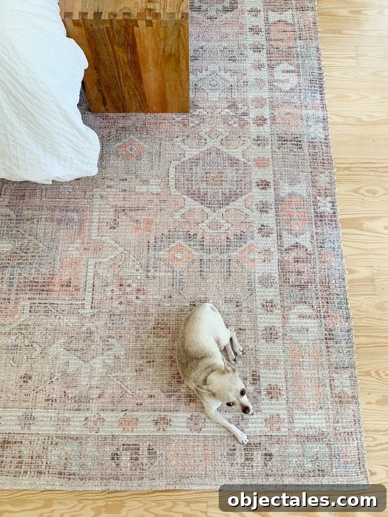 Bedroom Makeover Update: What We Changed and What's Next 15 Rug with dog resting