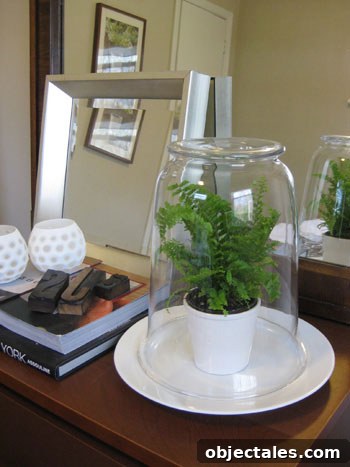 simple-terrarioum-tutorial-how-to-diy-project