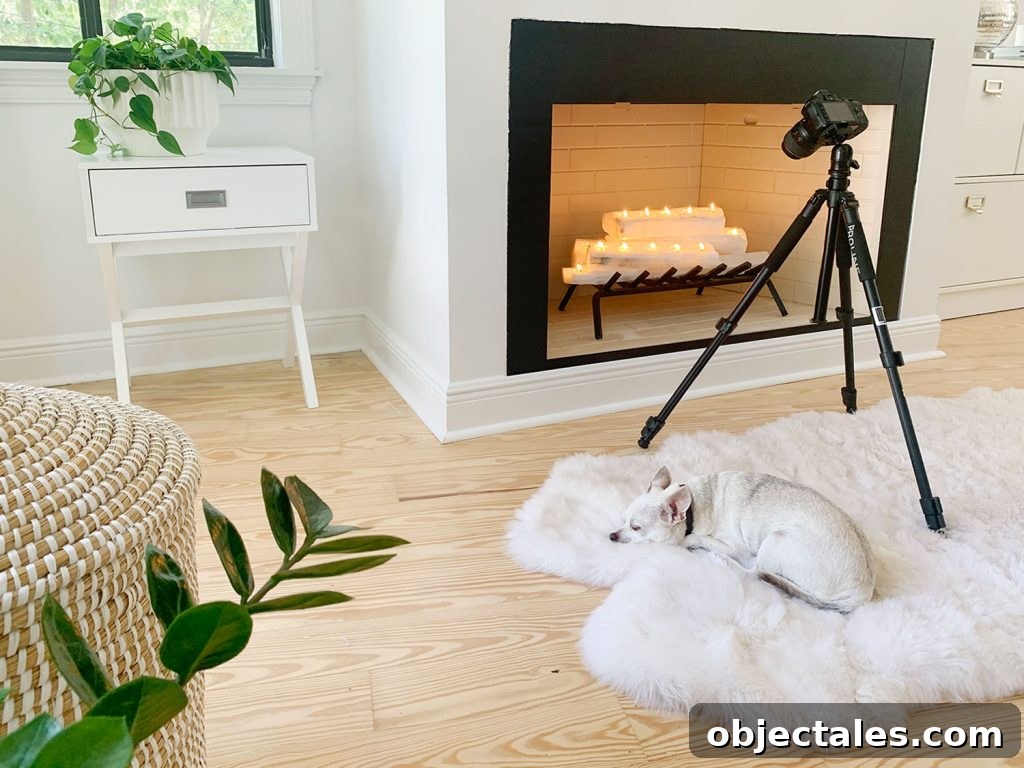 Camera on tripod set up to take photo of fireplace with chihuahua sleeping on fur rug underneath