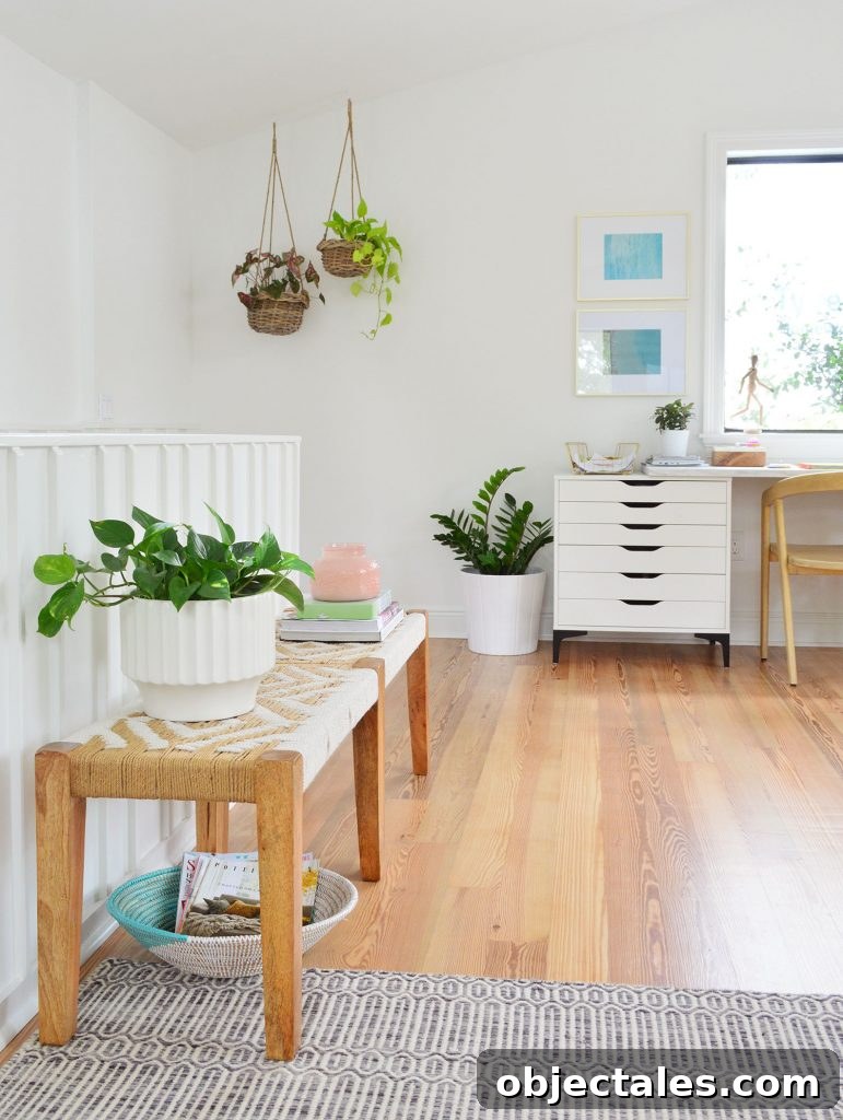 Several Plants On Surfaces In Living Room Including Hanging
